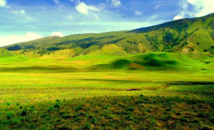 Bukit Teletubbies Bromo, Melihat Sunrise Dibalik Bukit Yang Imut